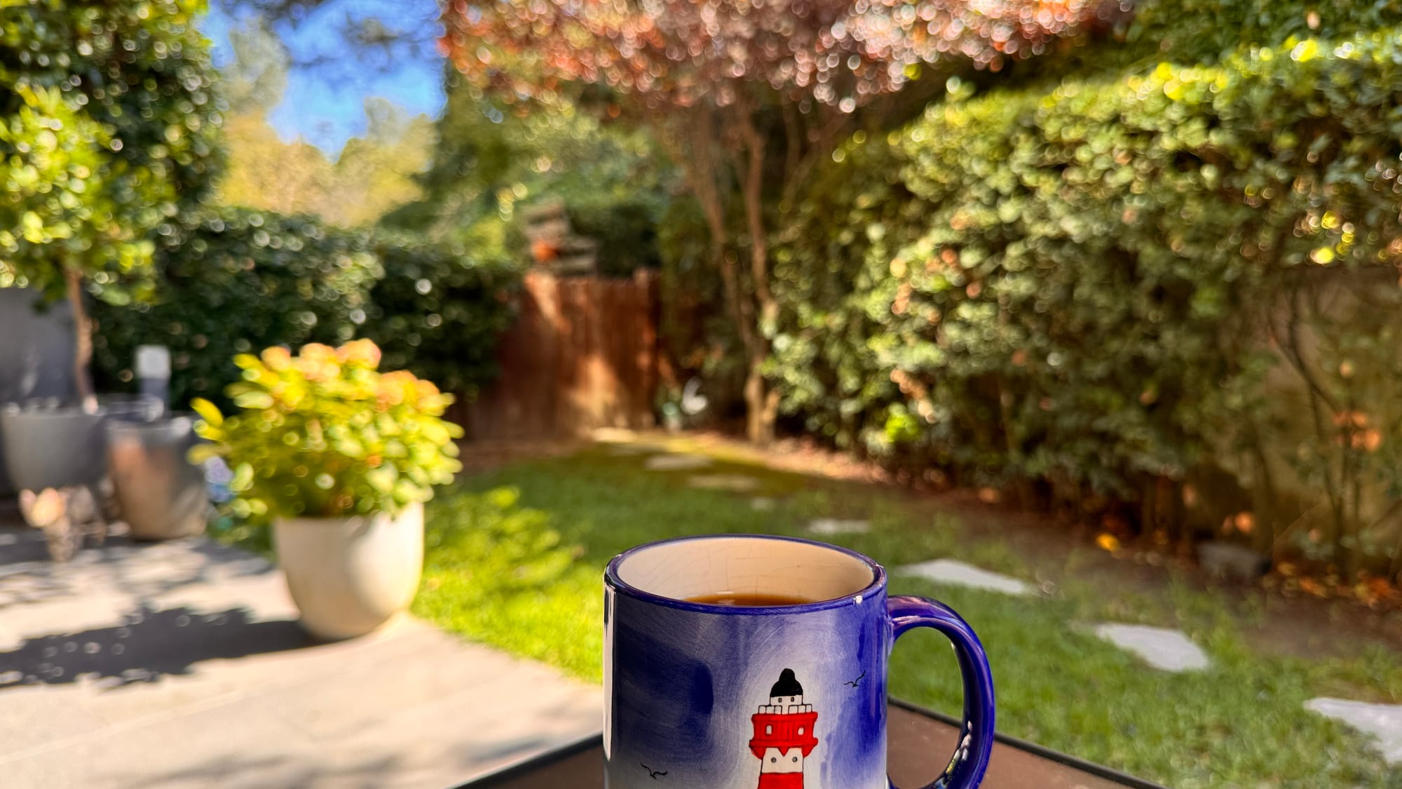 Serhat’s Istanbul coffee cup in a sunlit garden
